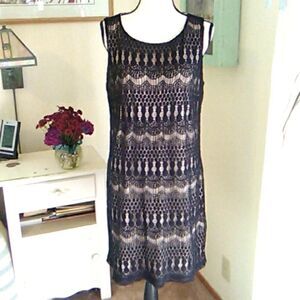 Sharagano Lace Shift 